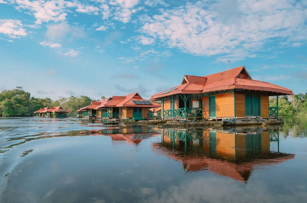 Reserva Mamirauá, no Amazonas